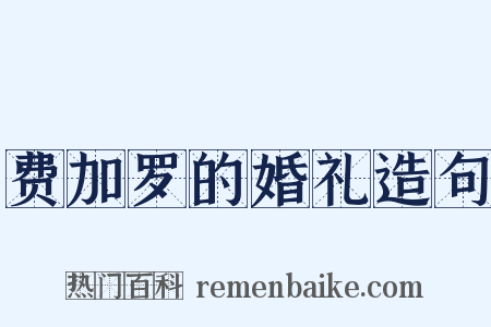 费加罗的婚礼造句是什么意思的图片